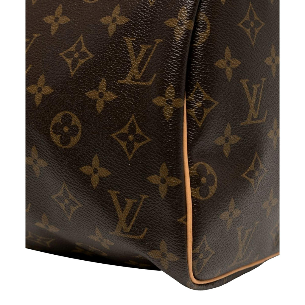 Speedy cloth handbag Louis Vuitton Brown in Cloth - 36513155